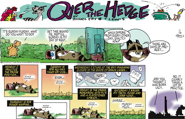 Over the Hedge on Sunday November 10, 2019 Comic Strip
