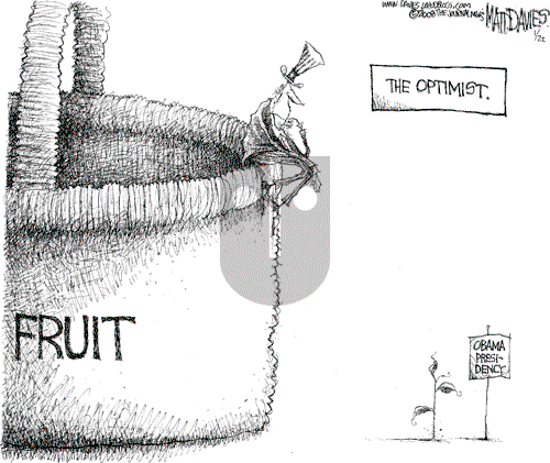 Matt Davies on Thursday January 22, 2009 Comic Strip