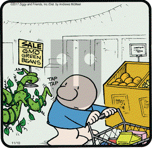 Ziggy on Friday November 10, 2017 Comic Strip