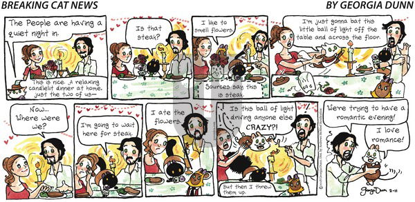 Breaking Cat News on Sunday February 11, 2018 Comic Strip