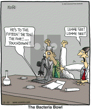 In the Bleachers on Friday December 23, 2005 Comic Strip