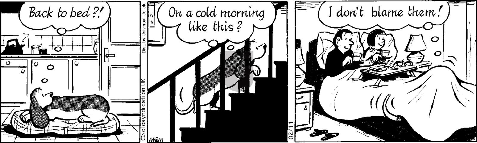 Fred Basset on Tuesday February 11, 2014 Comic Strip