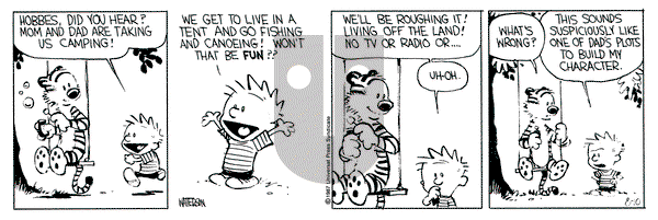 Calvin and Hobbes on Monday August 10, 1987 Comic Strip