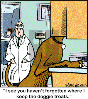 Marmaduke on Friday November 11, 2016 Comic Strip