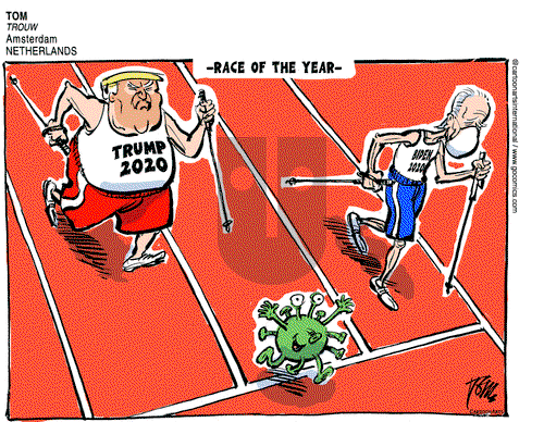 Views of the World on Friday November 6, 2020 Comic Strip