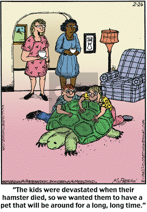 Close to Home on Wednesday February 26, 2025 Comic Strip