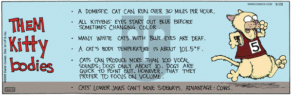 Get Fuzzy on Wednesday September 28, 2005 Comic Strip