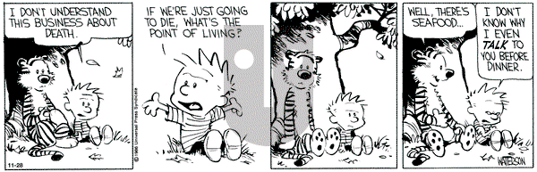Calvin and Hobbes on Thursday November 28, 1991 Comic Strip