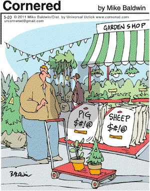 Cornered - Friday May 20, 2011 Comic Strip