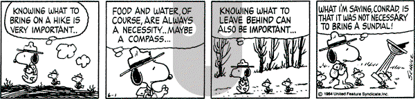 Peanuts - Friday June 1, 1984 Comic Strip