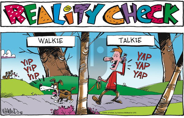 Reality Check on Sunday February 18, 2018 Comic Strip