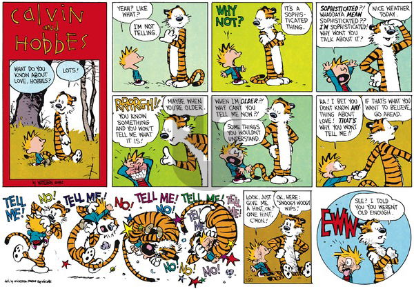 Calvin and Hobbes on Sunday March 8, 1992 Comic Strip