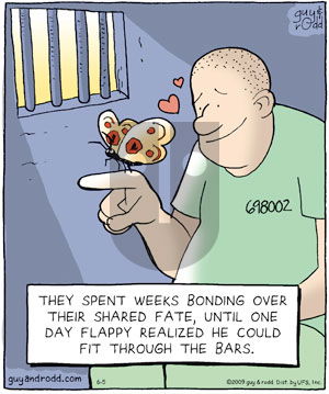 Brevity on Friday June 5, 2009 Comic Strip