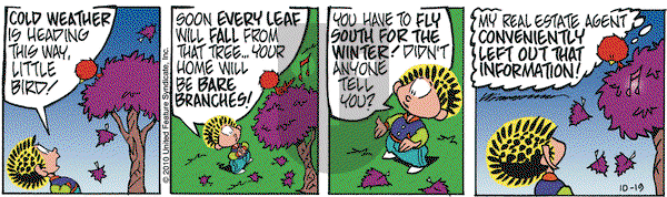Rose is Rose on Tuesday October 19, 2010 Comic Strip