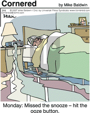Cornered on Monday February 5, 2007 Comic Strip