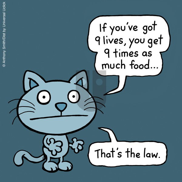 Cattitude — Doggonit - Sunday February 19, 2023 Comic Strip