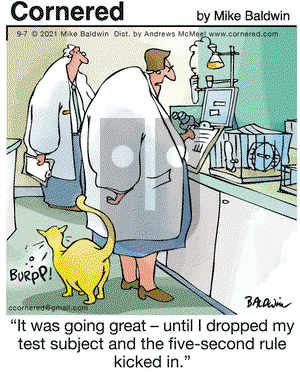 Cornered on Tuesday September 7, 2021 Comic Strip