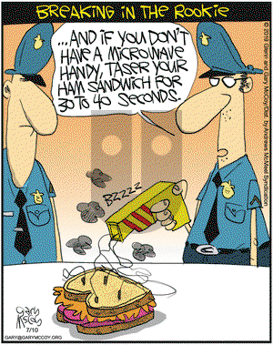 The Flying McCoys on Wednesday July 10, 2019 Comic Strip
