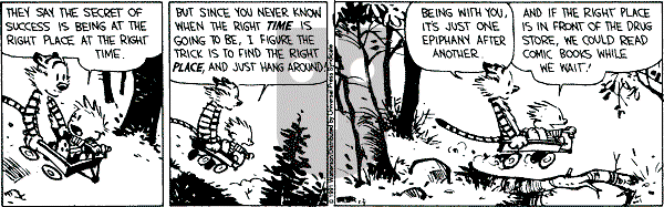 Calvin and Hobbes - Saturday May 4, 1991 Comic Strip