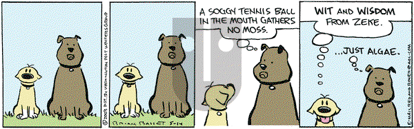Red and Rover on Saturday May 24, 2003 Comic Strip