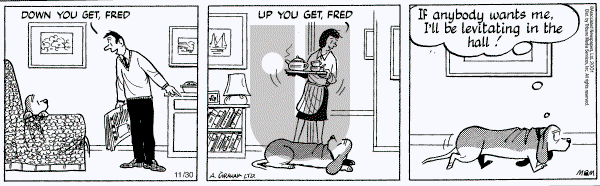 Fred Basset on Monday April 29, 2002 Comic Strip