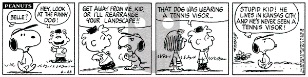 Peanuts on Wednesday June 23, 1976 Comic Strip