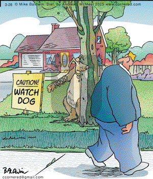 Cornered on Friday March 28, 2025 Comic Strip