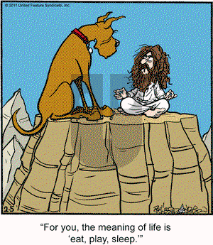 Marmaduke on Saturday February 5, 2011 Comic Strip