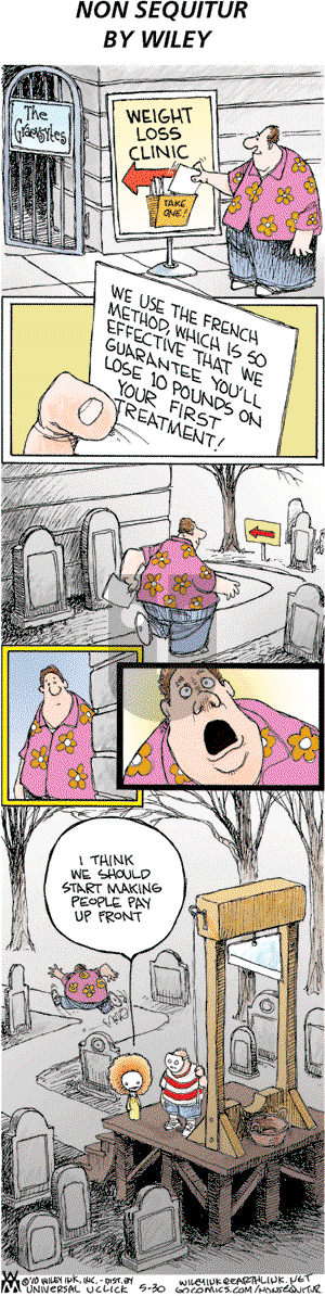 Non Sequitur on Sunday May 30, 2010 Comic Strip
