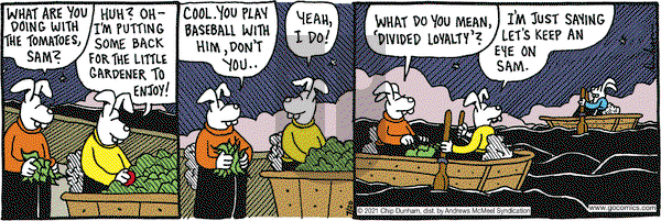 Overboard on Tuesday July 20, 2021 Comic Strip