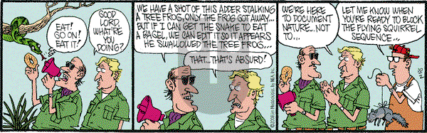 Monty on Thursday October 2, 2008 Comic Strip