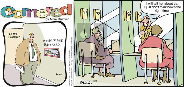 Cornered on Sunday November 23, 2008 Comic Strip