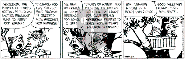 Calvin and Hobbes on Tuesday August 3, 1993 Comic Strip