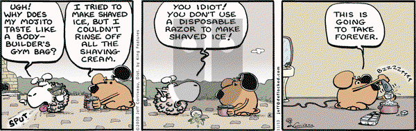 DeFlocked on Thursday November 13, 2008 Comic Strip