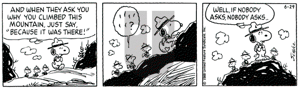Peanuts - Wednesday June 29, 1988 Comic Strip