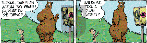 The Grizzwells on Friday November 9, 2012 Comic Strip