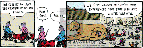 Overboard on Wednesday October 24, 2018 Comic Strip