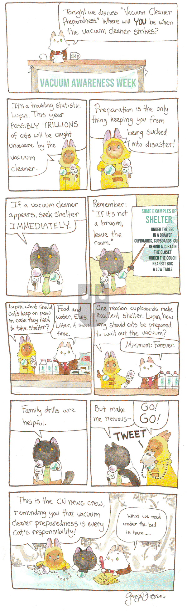 Breaking Cat News on Tuesday February 14, 2017 Comic Strip