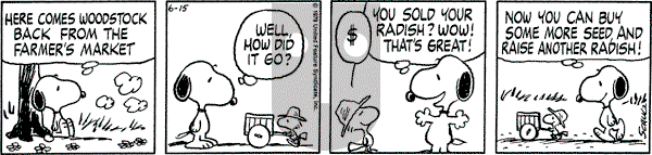 Peanuts - Friday June 15, 1979 Comic Strip