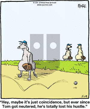 In the Bleachers - Saturday May 19, 2001 Comic Strip