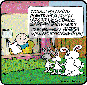 Ziggy on Saturday February 13, 2016 Comic Strip