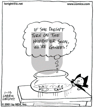 Kit 'N' Carlyle on Saturday January 13, 2001 Comic Strip