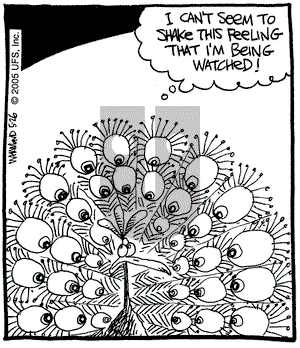 Reality Check on Thursday May 26, 2005 Comic Strip