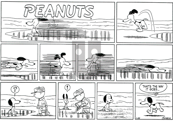 Peanuts - Sunday January 22, 1956 Comic Strip
