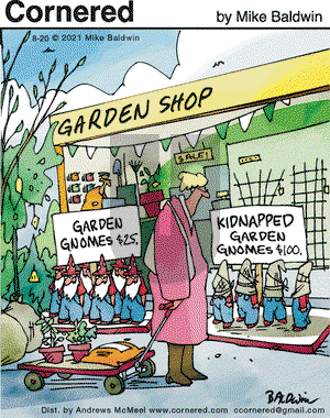 Cornered on Friday August 20, 2021 Comic Strip