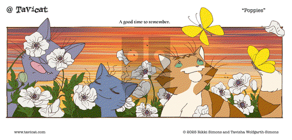 @Tavicat on Monday November 10, 2025 Comic Strip