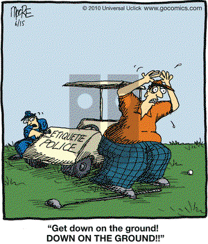 In the Bleachers on Tuesday June 15, 2010 Comic Strip