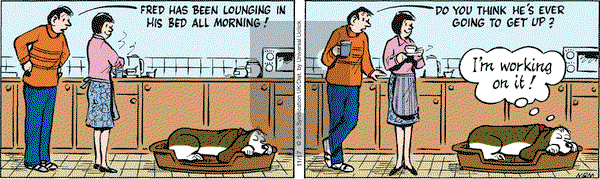 Fred Basset on Thursday November 17, 2016 Comic Strip