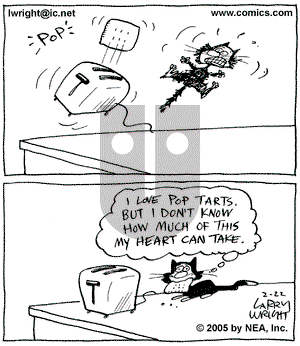 Kit 'N' Carlyle on Tuesday February 22, 2005 Comic Strip