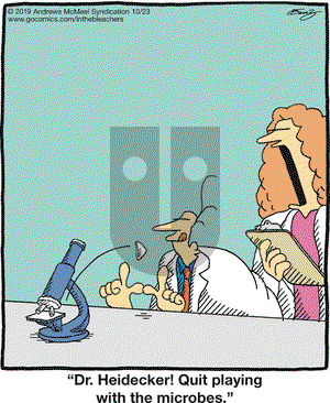 In the Bleachers on Wednesday October 23, 2019 Comic Strip